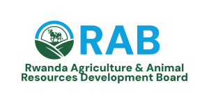 RAB_Logo_4
